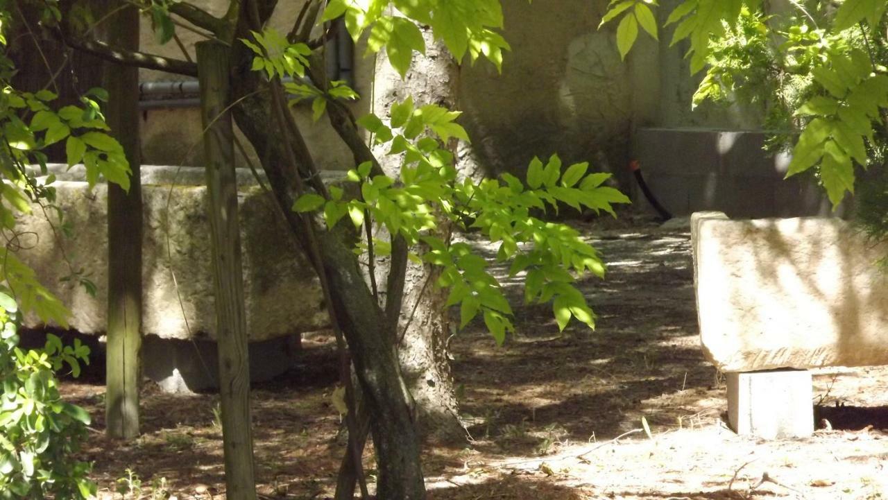 Bed and Breakfast La Bastide Cavaillon Exterior foto